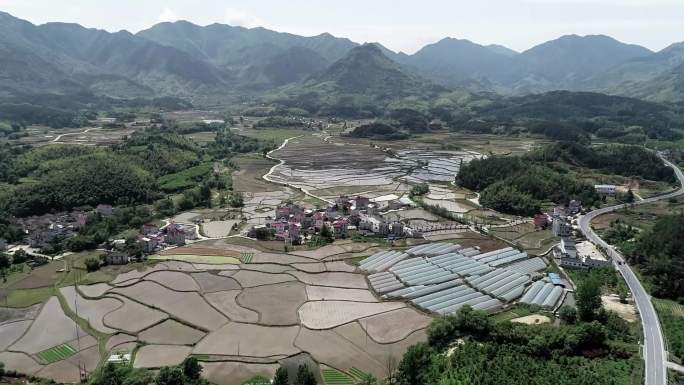 铁帽山下农田三农种植致富