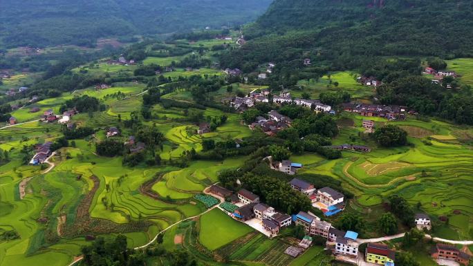 重庆乡村秋色山村农田农耕