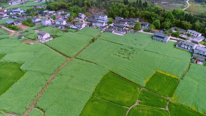 四川川北平原凯江大回湾乡村春色航拍