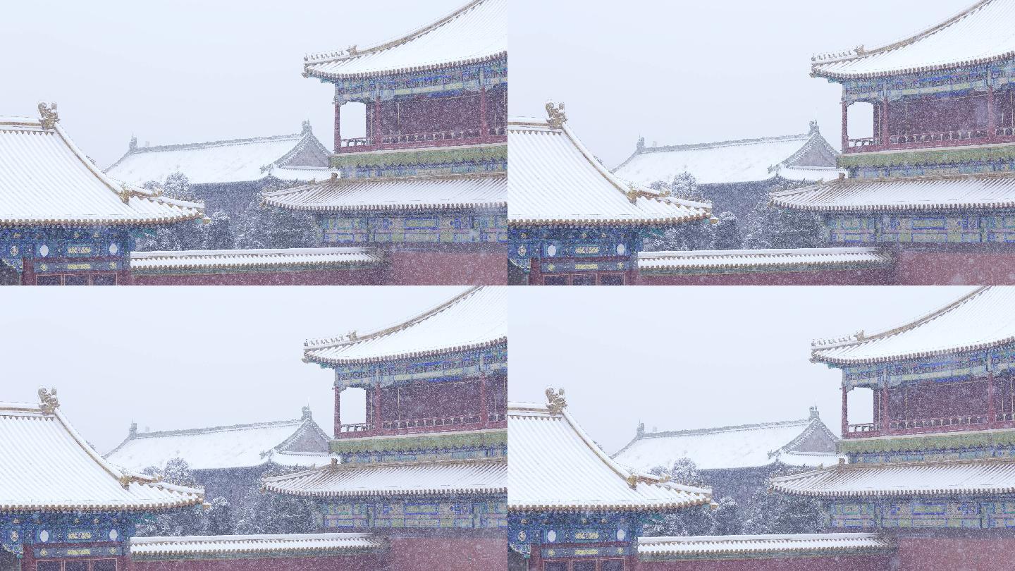 大雪中的故宫故宫下雪故宫雪景北京下雪
