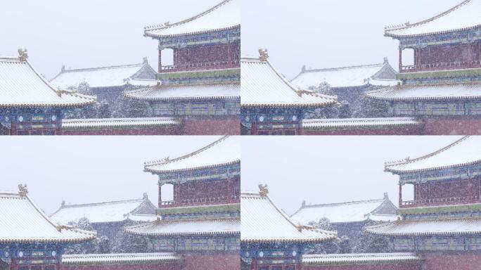 大雪中的故宫故宫下雪故宫雪景北京下雪