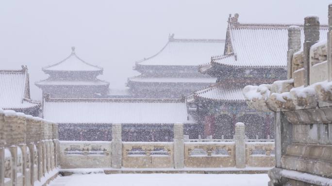 大雪中的故宫大雪中的故宫故宫飞雪中国风意