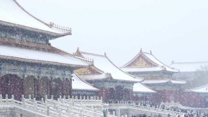 大雪中的故宫故宫下雪雪景北京故宫雪景