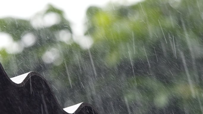 大雨 暴雨