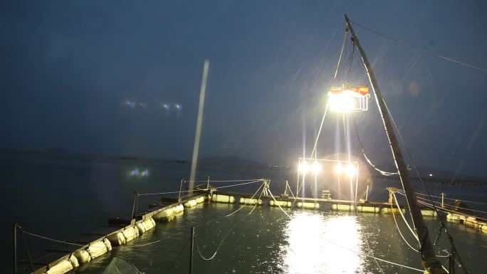 捕捞 夜间捕捞 渔获 渔灯 渔船 渔民
