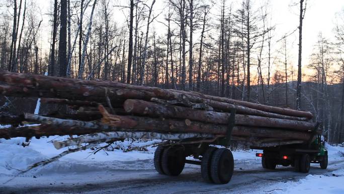 大兴安岭冬季运输木材