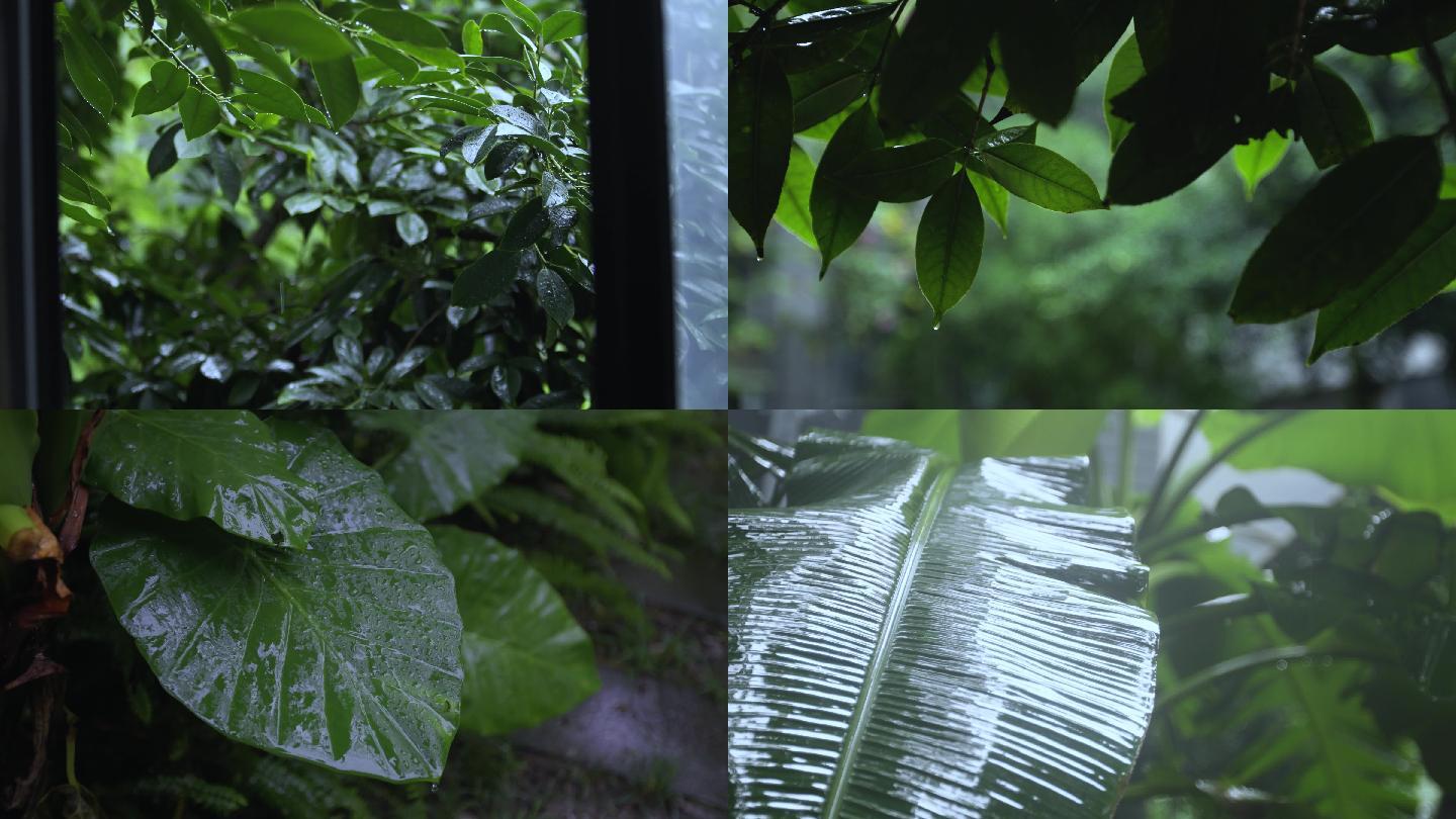 夏天小区下雨意境空镜头视频素材