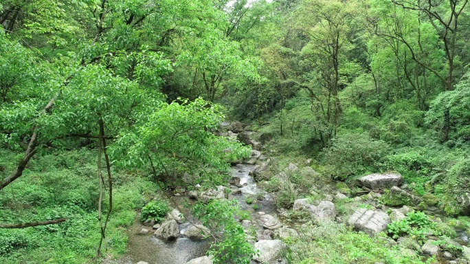 峡谷小溪 绿色环保素材