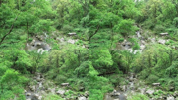 峡谷小溪 绿色环保素材