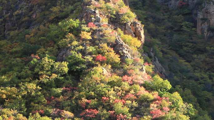 丰宁坝上山林秋季地理风光