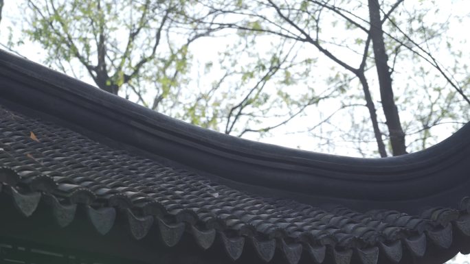 中式园林4k屋檐倒影古树苔藓