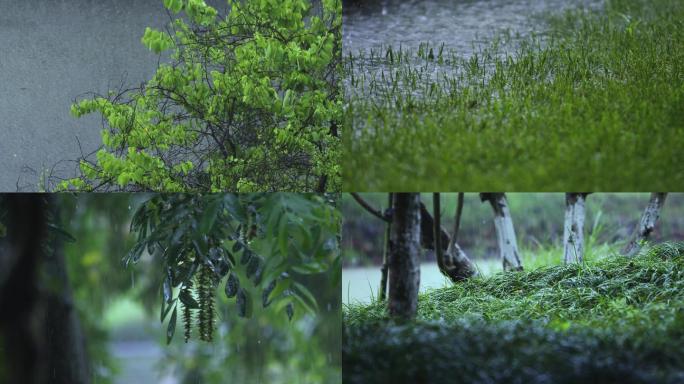 夏天河流树林树叶园林下雨暴雨大雨视频素材