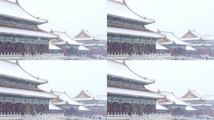 大雪中的故宫故宫冬天