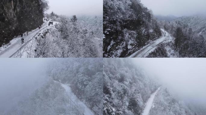 雪景