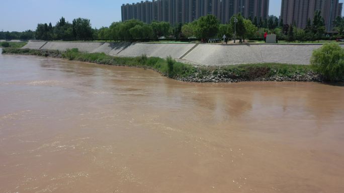 黄河调水调沙高含沙量洪水黄河浪