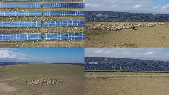 【原创合集】太阳能光伏羊生态经济航拍