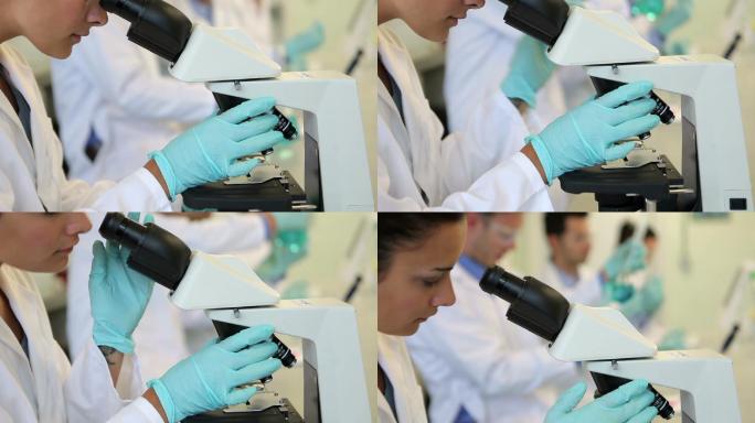 在实验室工作的理科学生在大学里通过显微镜观察