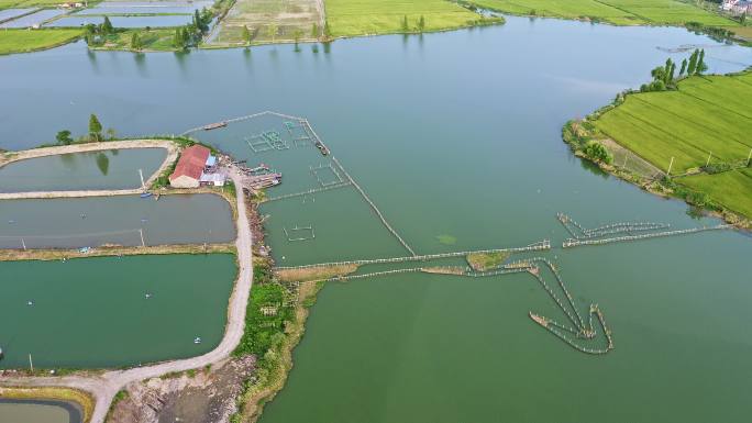 养鱼场围网与人工养殖河蚌珍珠