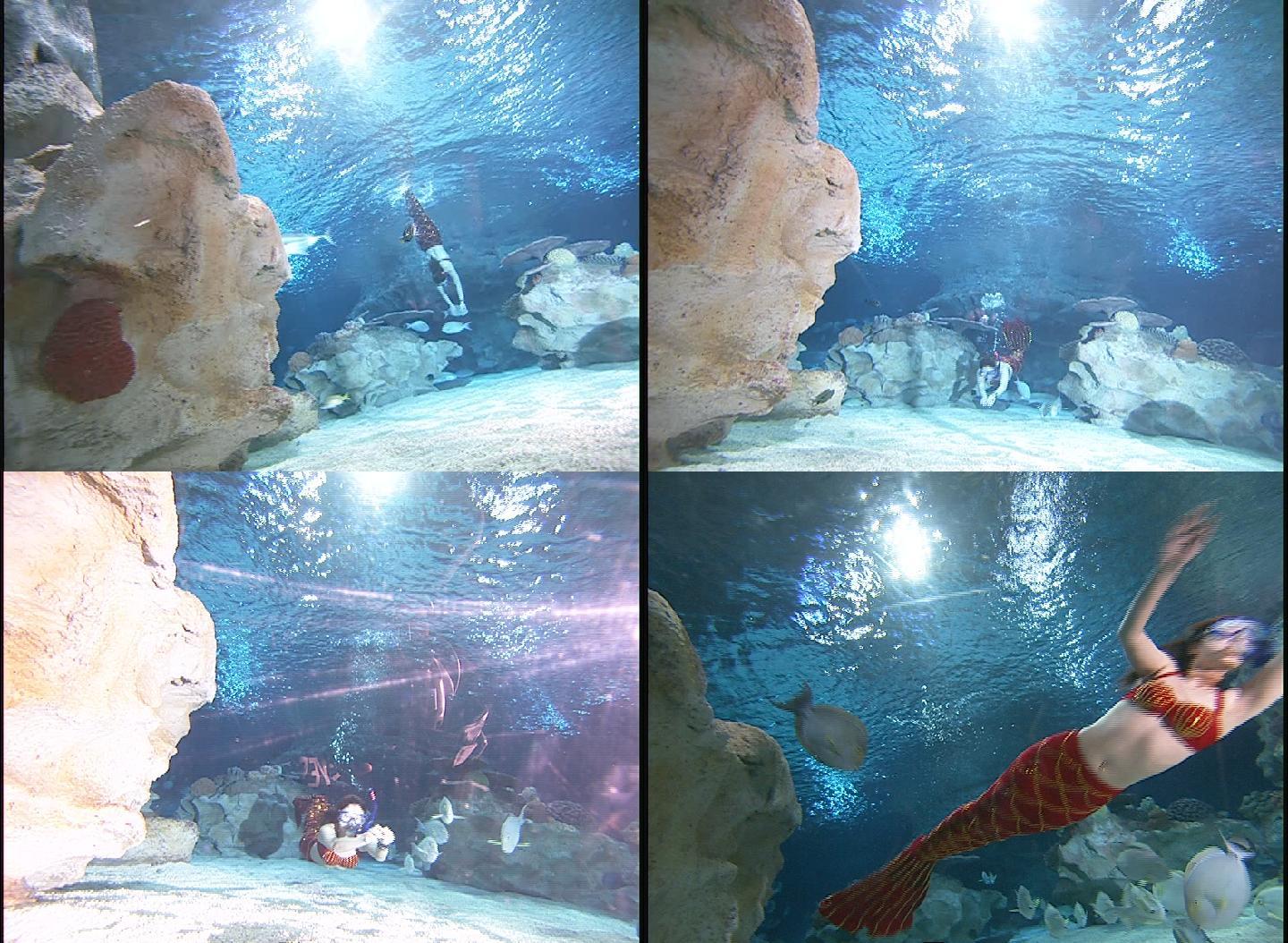 海底世界水下美女潜泳