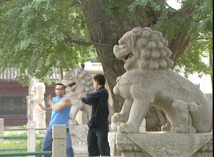 西方人学习中国功夫