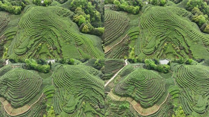 大地指纹山顶农田山路