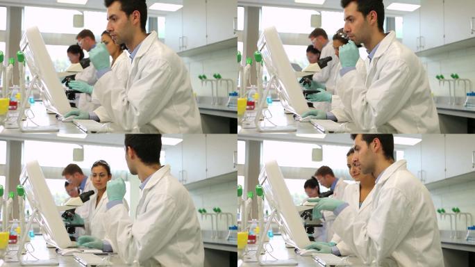 一队认真的科学学生在大学的实验室里一起工作