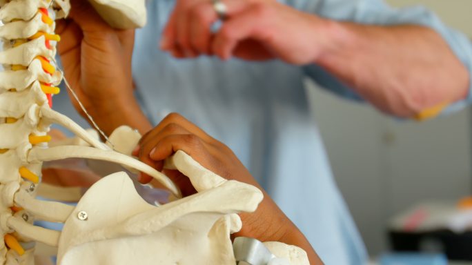 白人男教师在教室里修复人体骨骼模型在学校4k