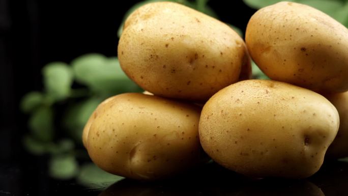 土豆马铃薯升格慢动作