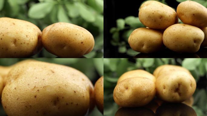 土豆马铃薯升格慢动作