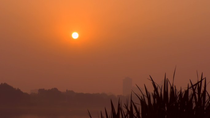 日出太阳升起来东方红太阳升旭日东升早晨