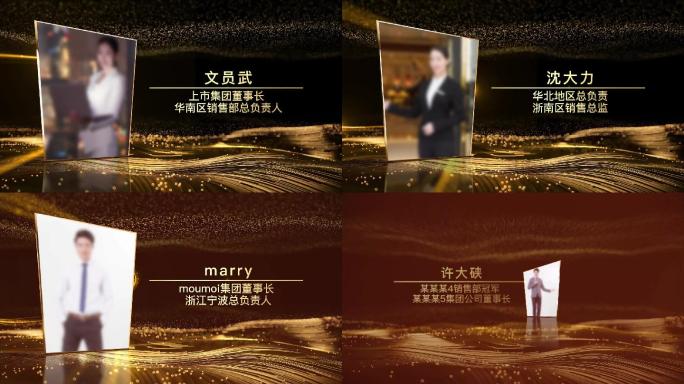 金色年会颁奖粒子人物介绍