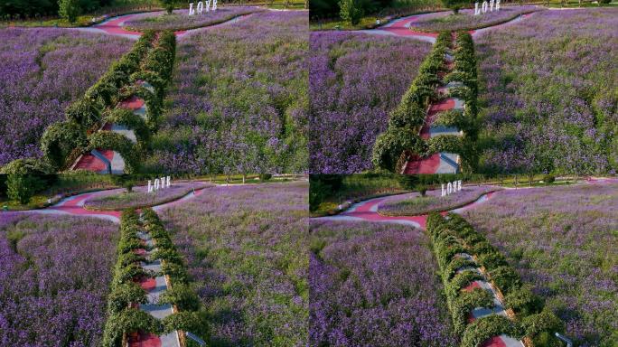 空中摇摆的唯美花朵C