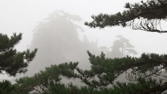 大雾中的黄山美景风光素材实拍4k旅游观光