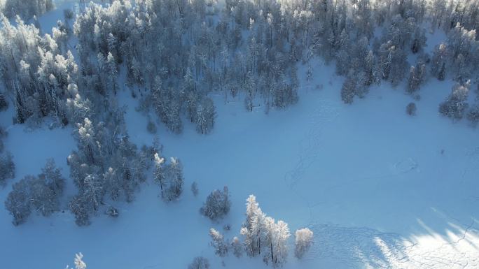 4K新疆喀纳斯禾木雪景合集