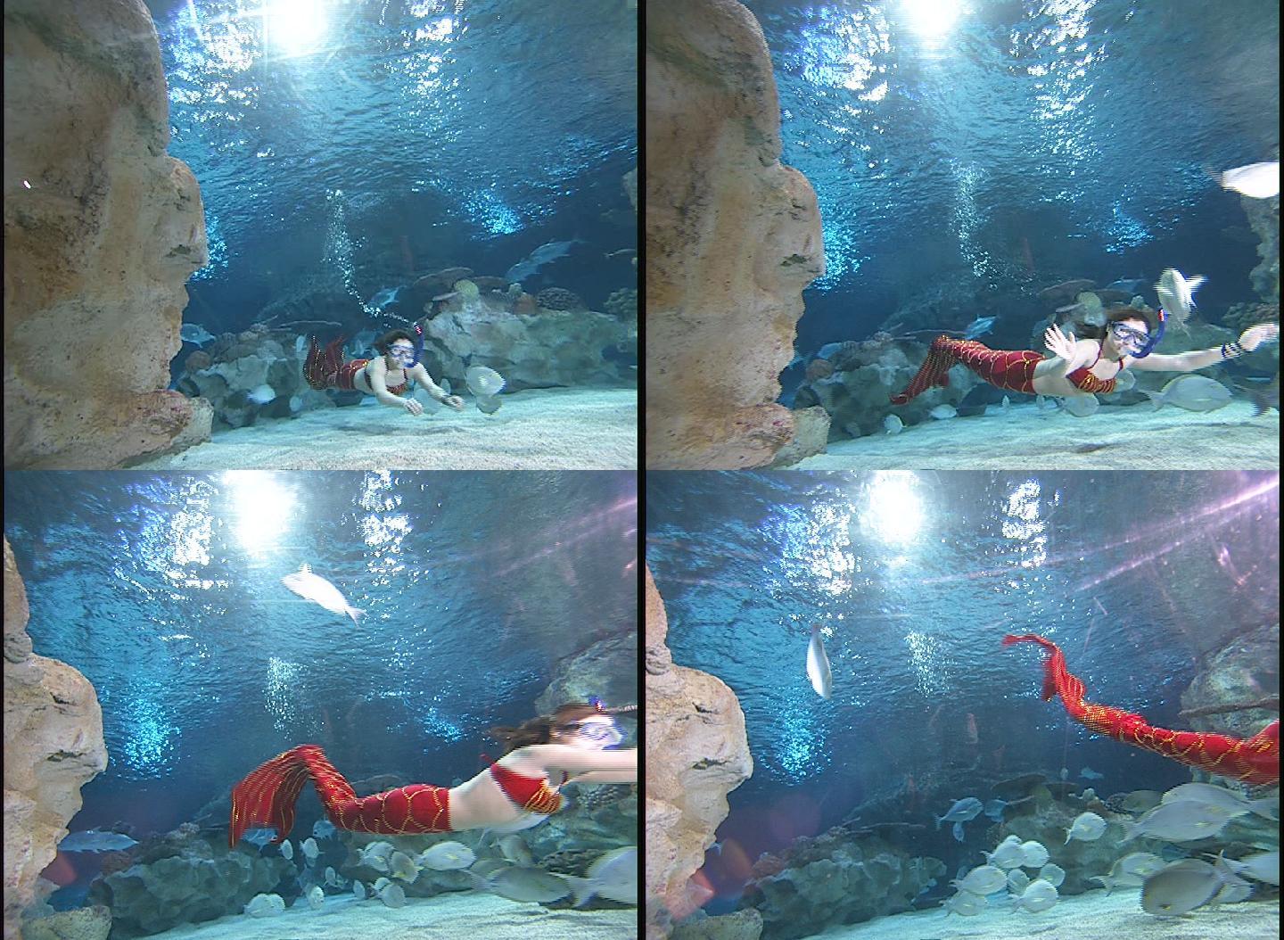 海底世界海洋馆水族馆美人鱼