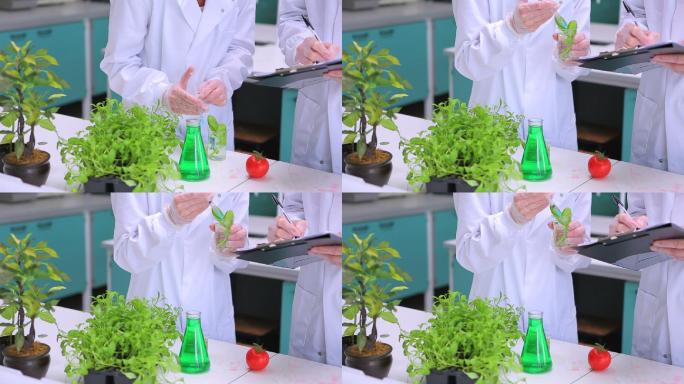 学生们在实验室用笔记本做植物和蔬菜的研究