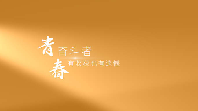 【原创】金色橙色简约光影文字字幕片头片尾