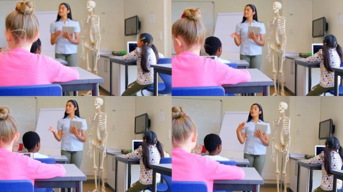 亚洲女教师讲解骨骼模型在教室4k