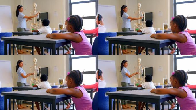 亚洲女教师讲解骨骼模型在教室4k