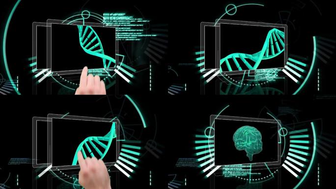 手在医疗界面上滚动显示大脑dna和x光