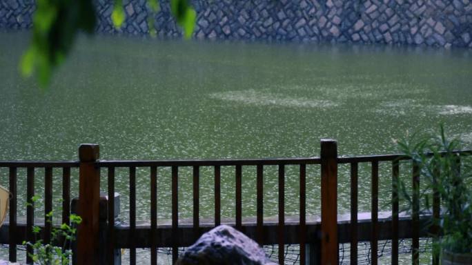 池塘小雨细雨下雨落雨慢镜头拍摄4K