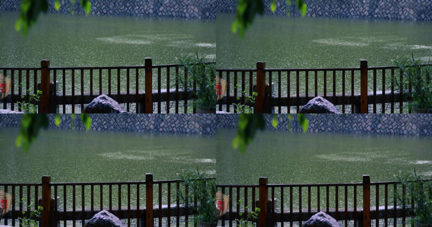池塘小雨细雨下雨落雨慢镜头拍摄4K