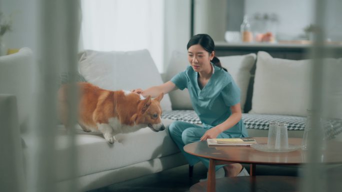 白领女士小班逗狗