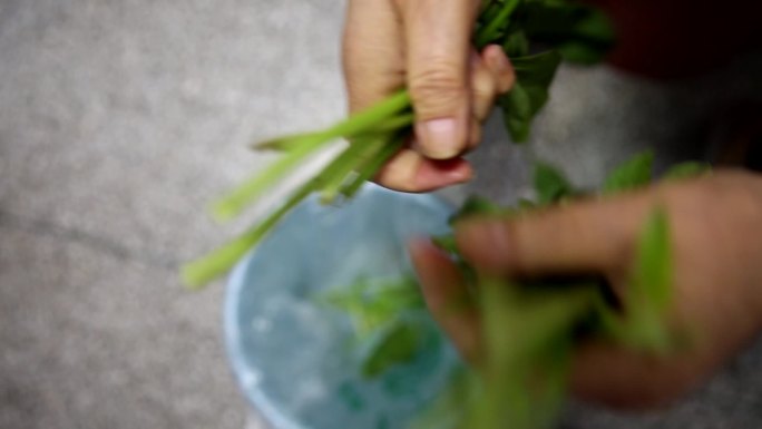 老太太老人在家里边摘菜边看电视居家生活