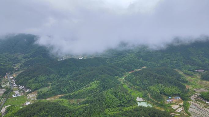 4K 雨后美丽乡村-1