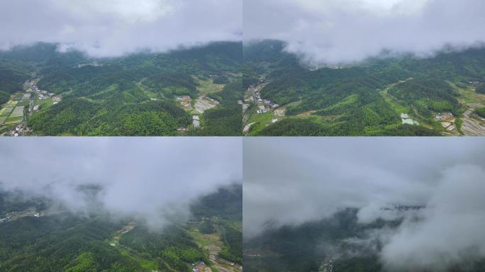 4K 雨后美丽乡村-1