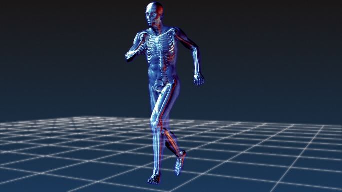 人体骨骼奔跑特效人体骨骼皮肤奔跑动画