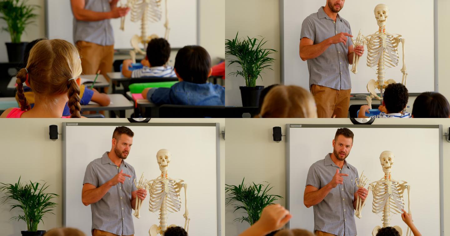 白人男老师解释骨架模型在教室在学校4k