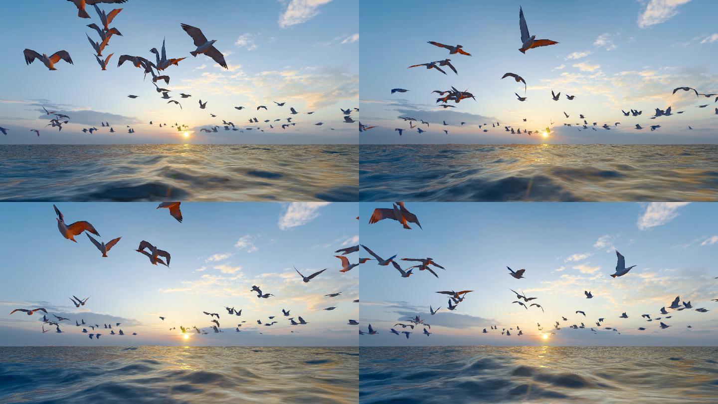 4K 海鸥在大海飞翔升格慢镜头