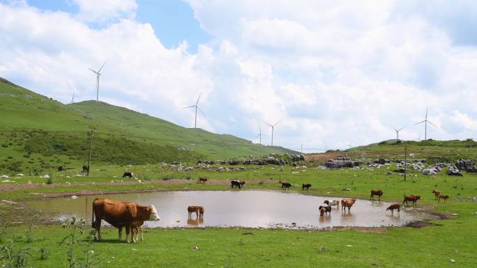 夏季贵州高原山坡上的风力发电和牧场